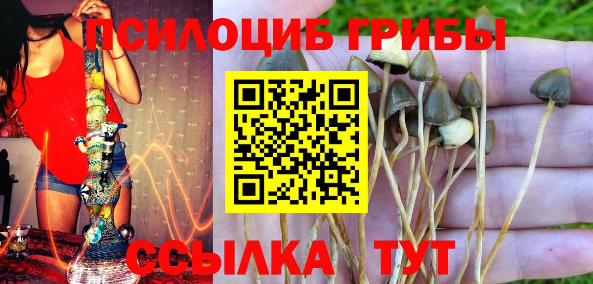 Псилоцибиновые грибы MAGIC MUSHROOMS Киров